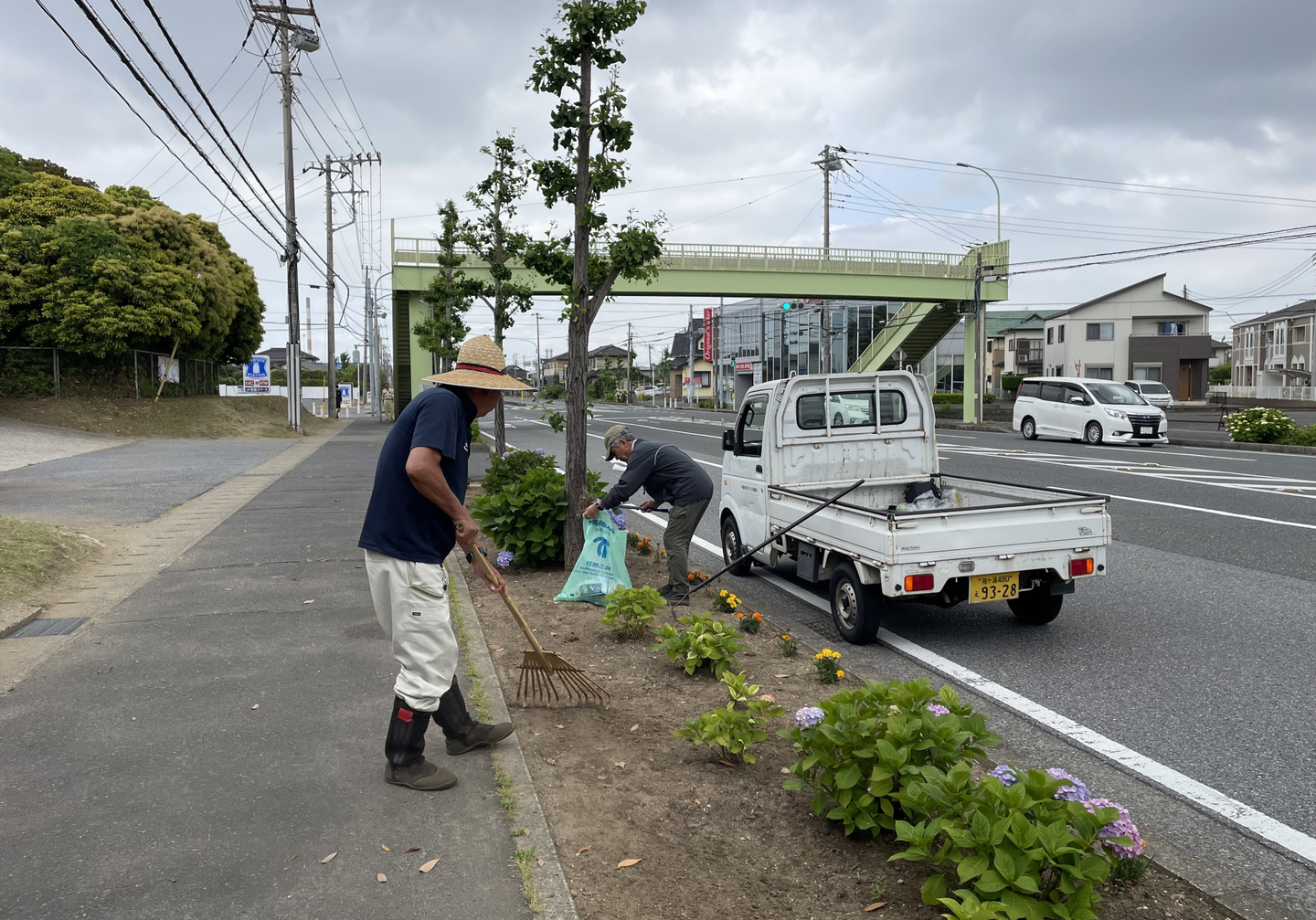 道路愛護活動